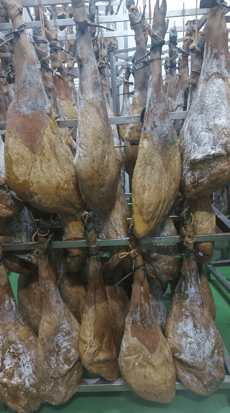 proceso de secado