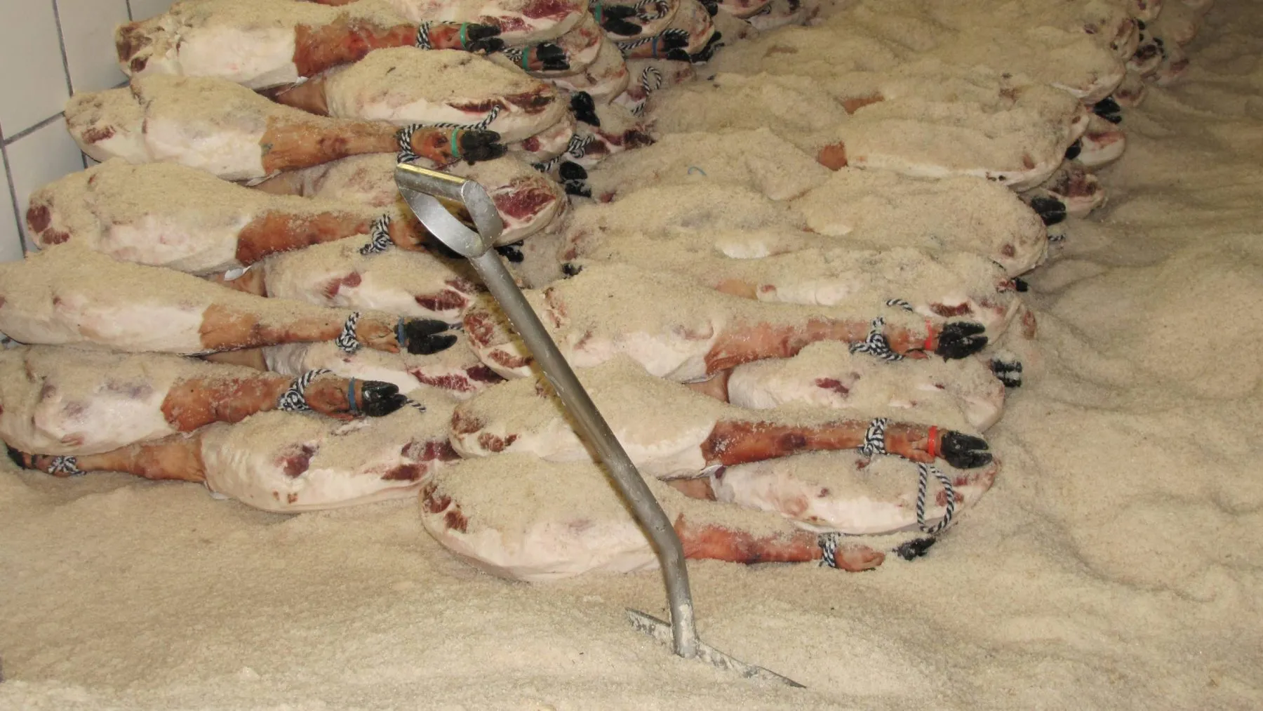 salazón, el primer paso de la curación del jamón
